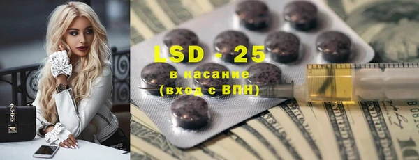 сатива Вяземский