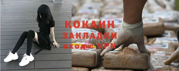 сатива Вяземский