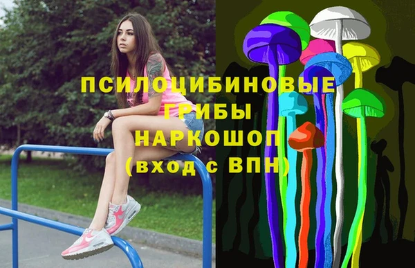 молекула духа Волосово