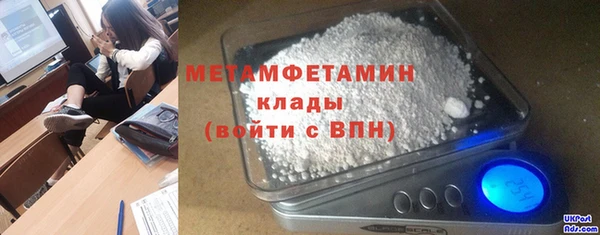 сатива Вяземский