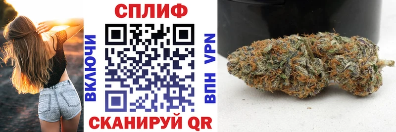 omg ONION  Пятигорск  Каннабис MAZAR 